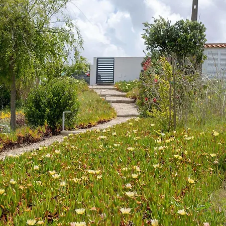 Oceanview Cliff Retreat Villa Caldas Da Rainha